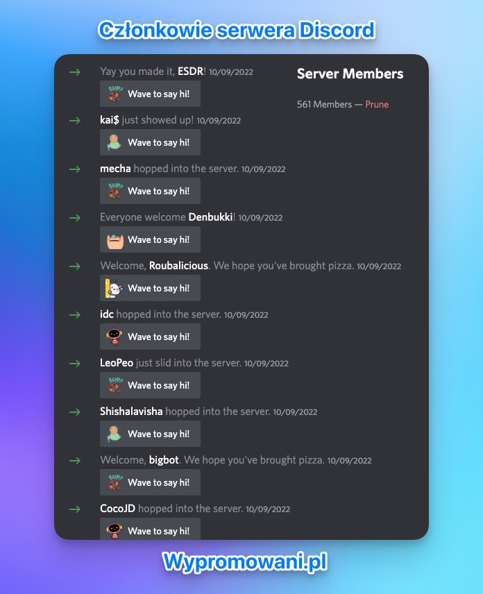 członkowie serwera discord