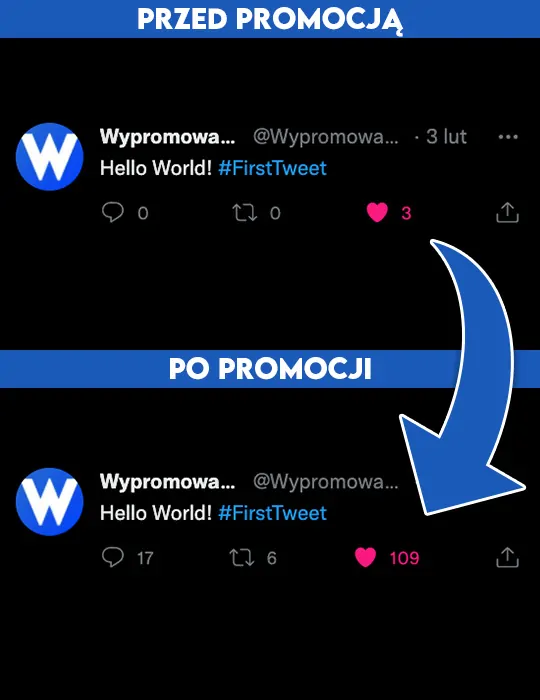 Lajki na Twitterze kup teraz na Wypromowani.pl