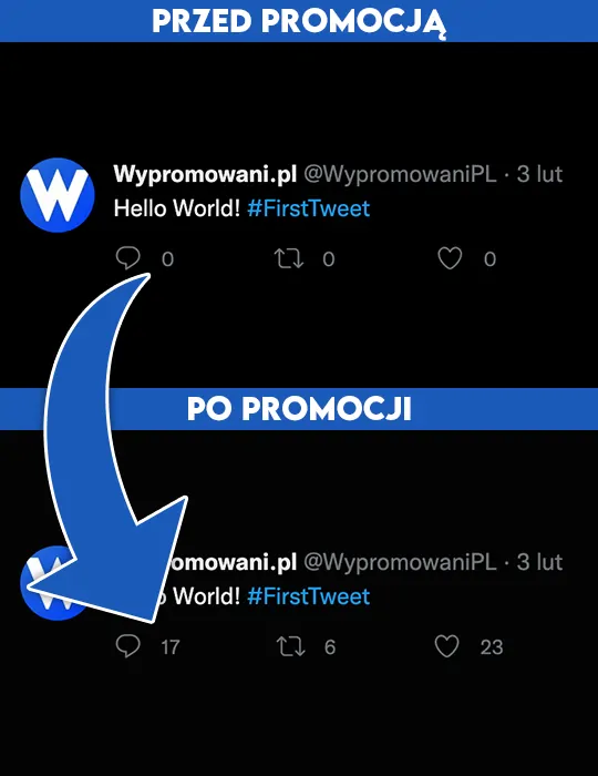 komentarze Twitter do kupienia do kupienia na wypromowani.pl